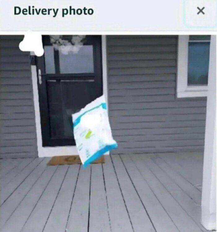 Screenshot_20241120_204956_Instagram.thumb.jpg.4b025ff549e1f64bae1800ea2ae5a239.jpg