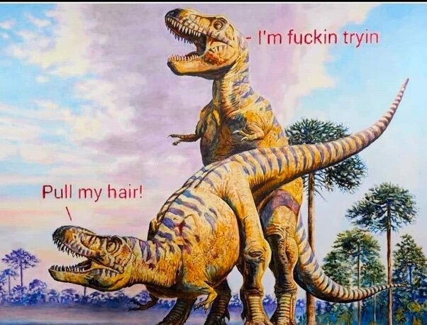 image.jpeg.485a2c126e028b434df3cea47fb1f522.jpeg