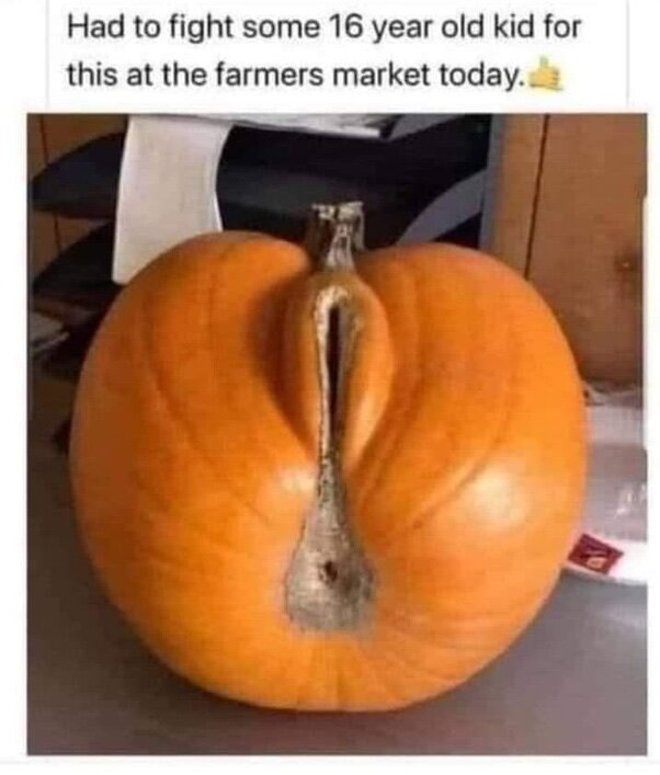 image.jpeg.971916aef938f03e8cbb73f449ddd905.jpeg