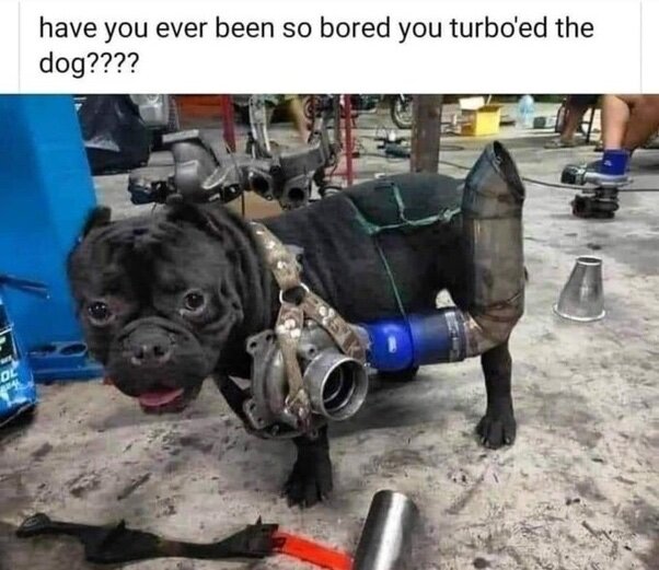image.jpeg.b3c84166be4f8c8b5bc8307fd967ca25.jpeg