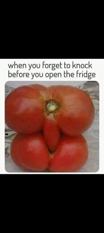 image.thumb.jpeg.084eddccf63ae81c8e698bbcd3c7c1ec.jpeg