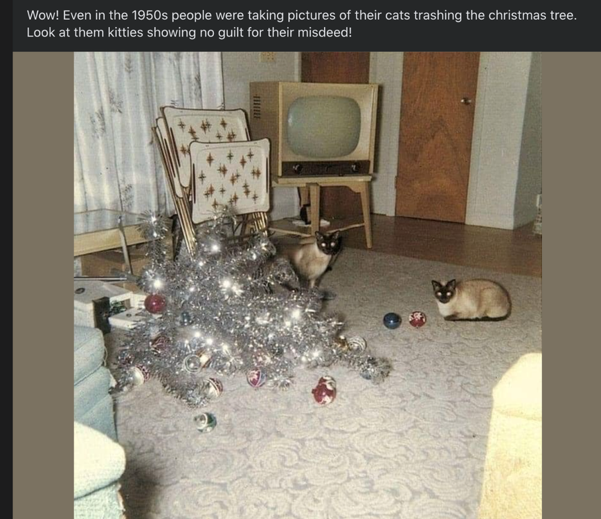 image.thumb.png.6153d4378c819ab75ad3090934997568.png