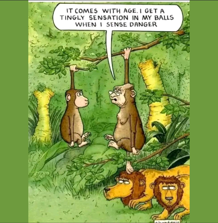 image.thumb.png.c0cfa8f3f44e0679b9b6aa19c6f3d304.png