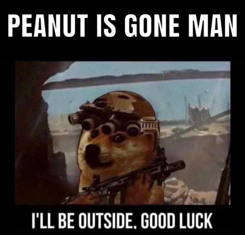 image.thumb.png.cdb2204b3d27ac44784cf136f865eef4.png
