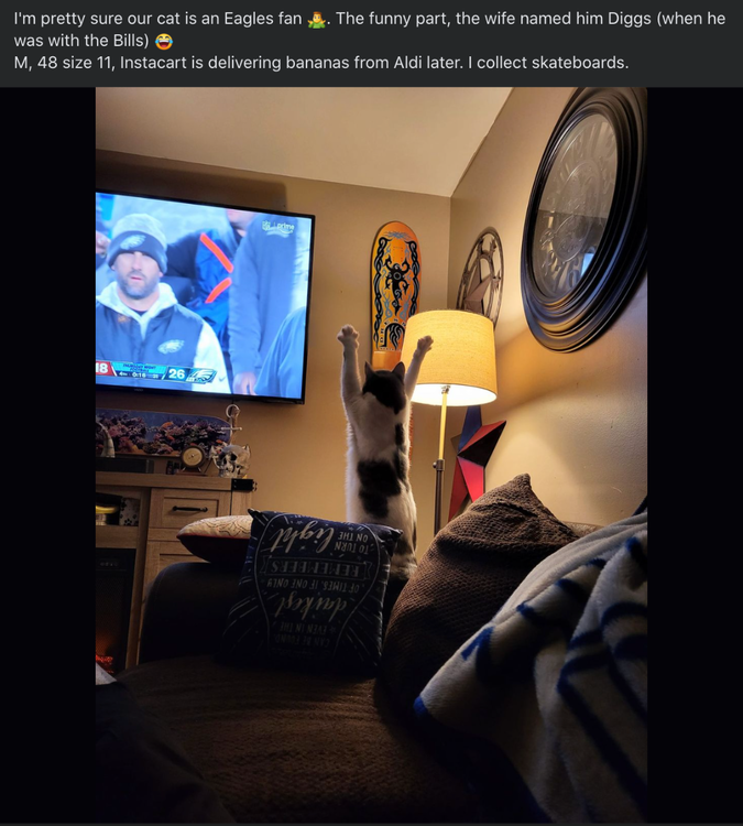 image.thumb.png.f3d7837ee2ec0445a12f66c6c0b2a9cc.png