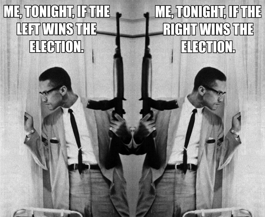 malcolm_x_-_election_night.thumb.JPG.9c168e701a9c23fb7c1ff48429c436fd.JPG