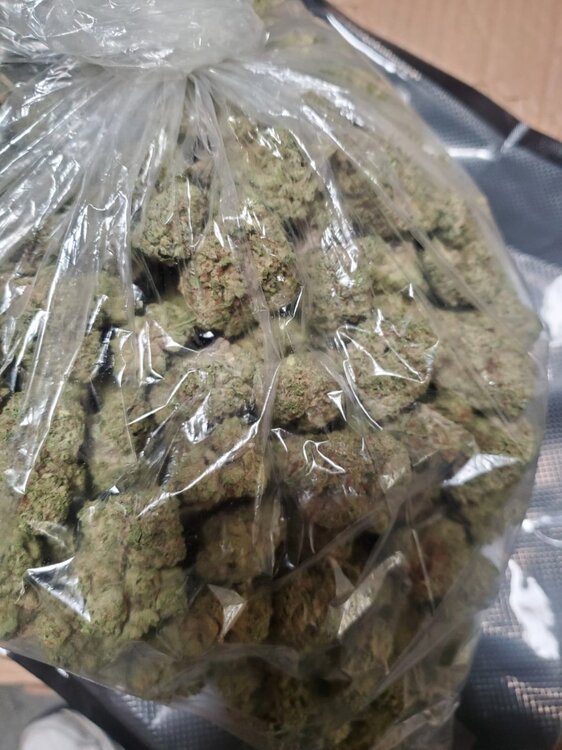 WhatsApp Image 2024-12-05 at 11.48.24 AM (3).jpeg