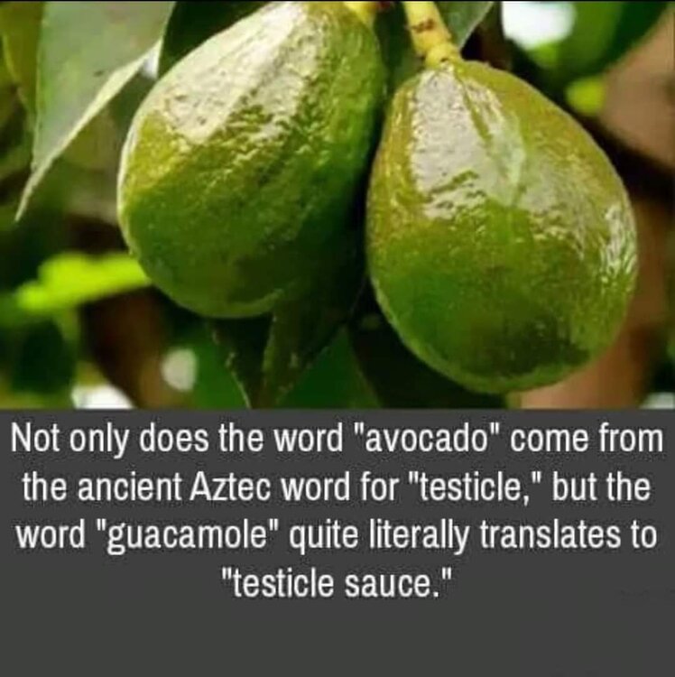 FB_IMG_1724728887713.jpg