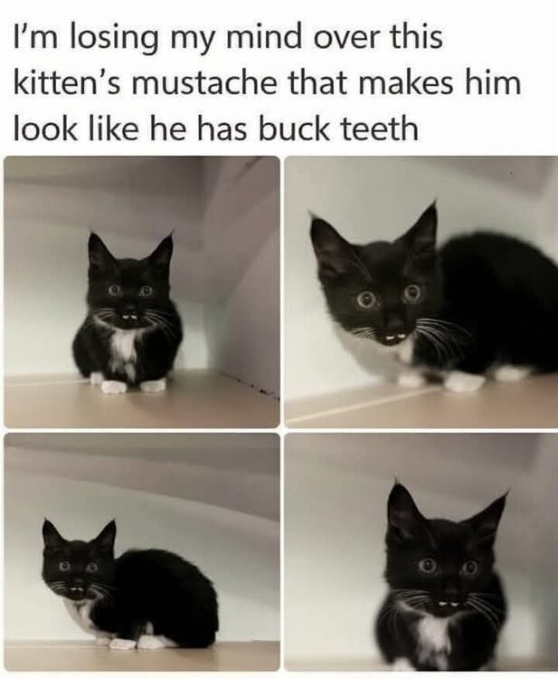 FB_IMG_1735073239372.jpg