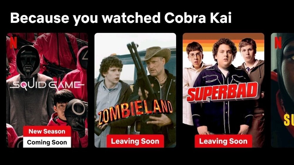 Screenshot_20241220_132635_Netflix.jpg