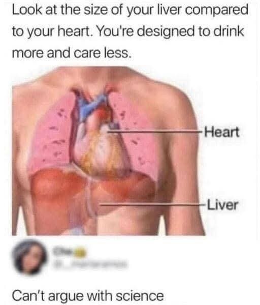 image.jpeg.26235e425b0611c095e1638a418e3193.jpeg