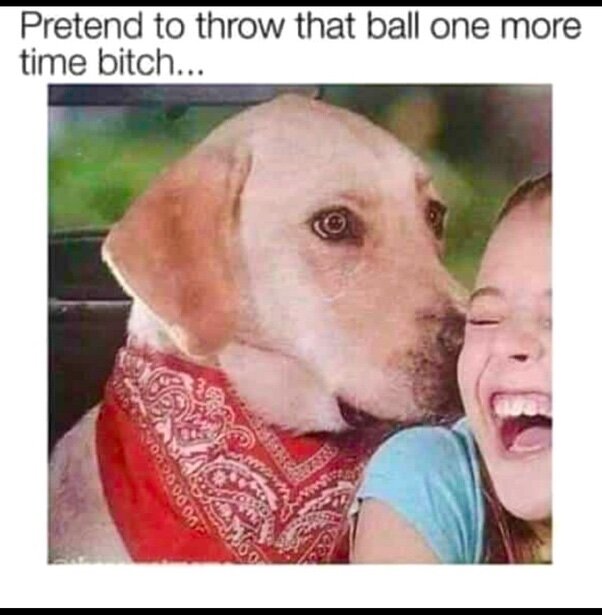 image.jpeg.7e7cdec23e7793c86b6e3604b6e7b583.jpeg