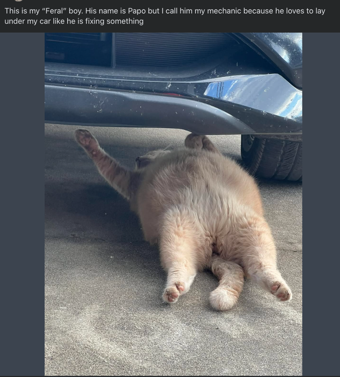 image.thumb.png.968633d1552e5448782f605da442e55c.png