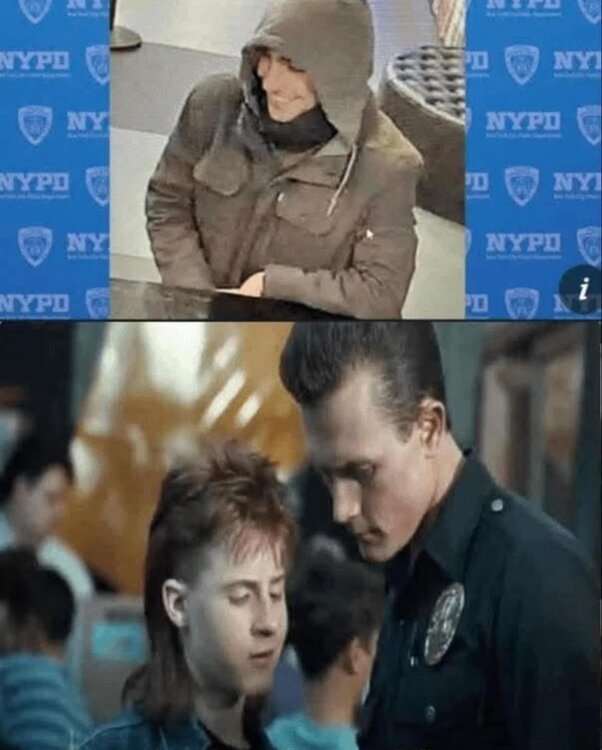 what-does-terminator-have-to-do-with-it-v0-5modpq8g995e1.thumb.jpeg.3e19f1696a262ab4c46a406976a593d6.jpeg