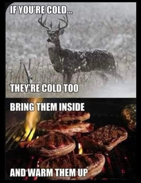 FB_IMG_1735748953877.jpg