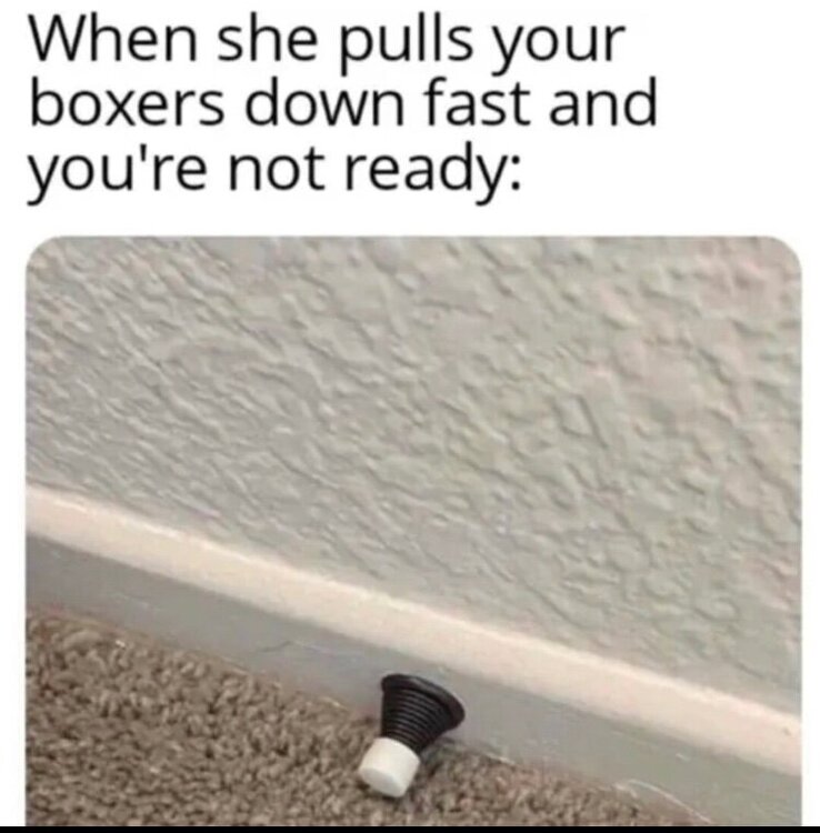 FE288213-70E0-4F31-9D3A-67B84C2D16E1.jpeg