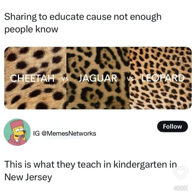 Screenshot_20250106_163007_Instagram.jpg