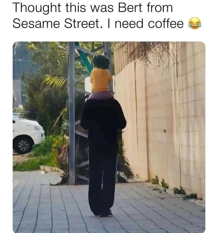 Screenshot_20250110_092056_Instagram.jpg