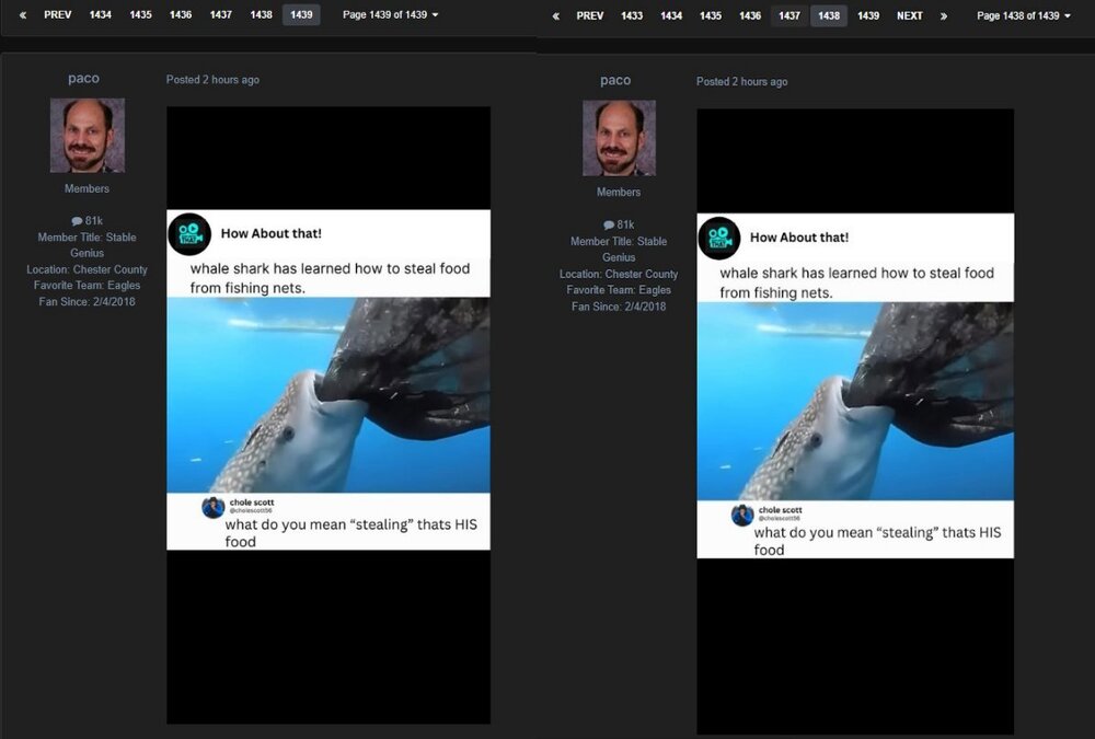 bug.thumb.jpg.a03723de541e905a1a5e8f987da67ac6.jpg