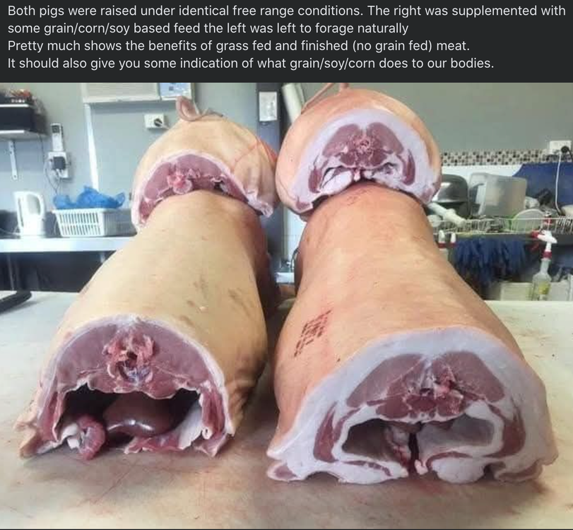 image.thumb.png.26181b58eb8cd592726fc42f1def549a.png