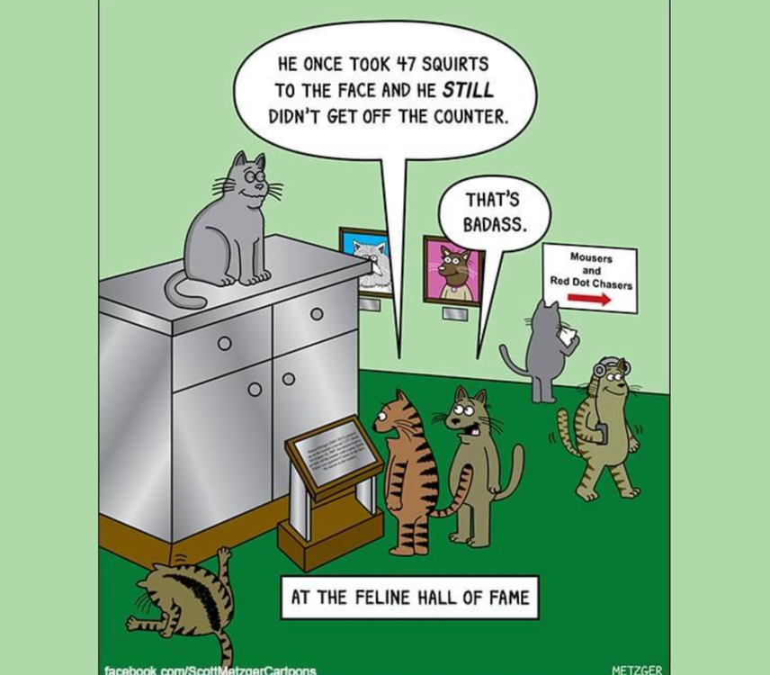 image.thumb.png.b0a73e498497c0d2068979c69f446167.png