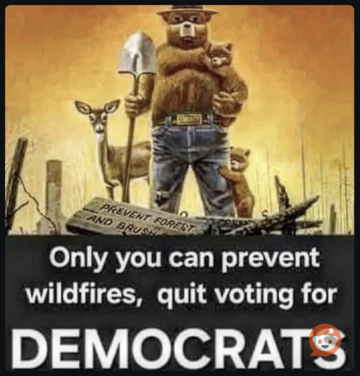 prevent-forest-fires.png.7b43e39533fcebf8b15c895c0d51c48a.png