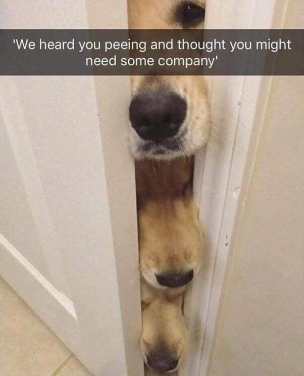 image.jpeg.c6e7d70c9d6e78b7654cca0b7016502d.jpeg