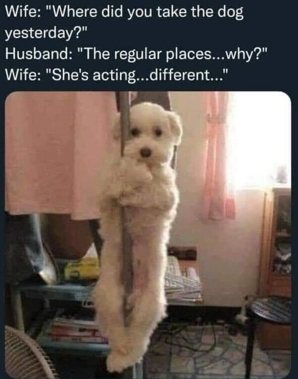 image.thumb.jpeg.a2339bc0f4a64a07419ba5ad70216d65.jpeg