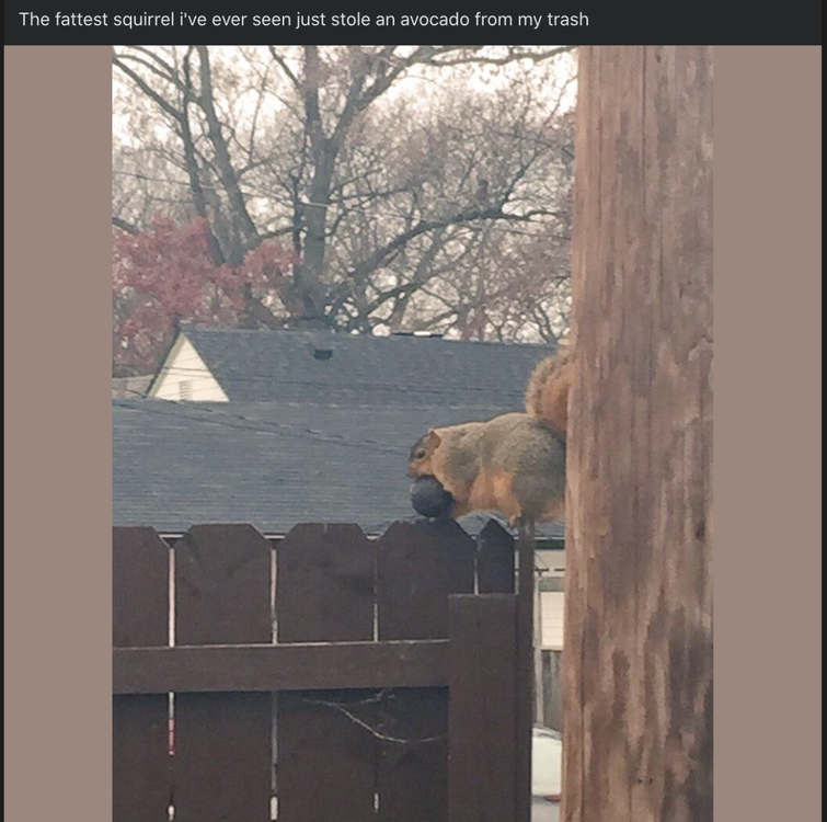 image.thumb.png.b4bf759239390881a11205734362d521.png