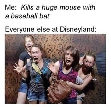 image.jpeg.0021e80e474a66cffe6be166c06a35ee.jpeg