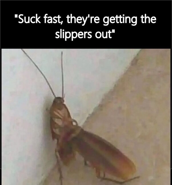image.jpeg.7576f41d271b8c9da85dff373e91ebd7.jpeg