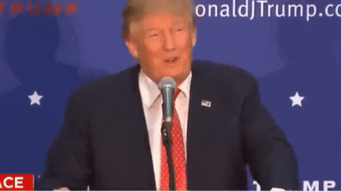 image.gif