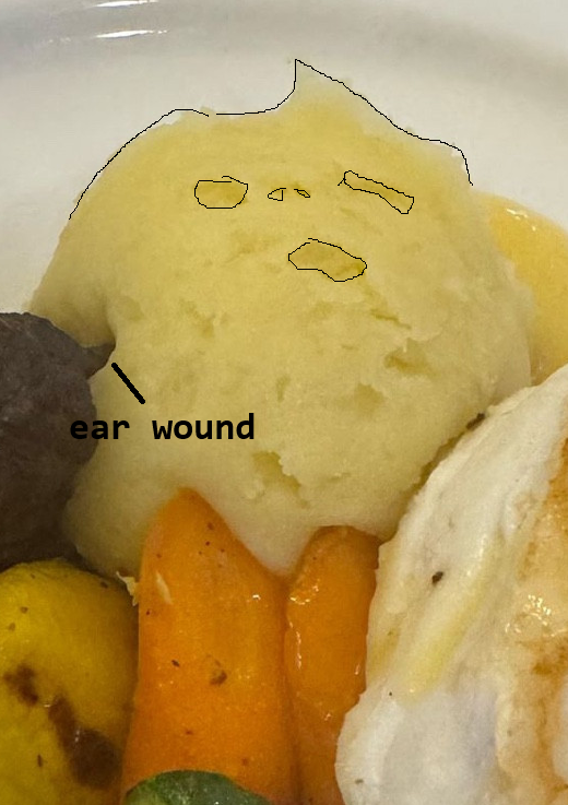 Untitled.png