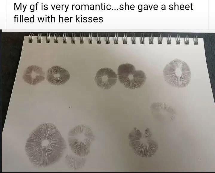 bCHXPma.jpeg