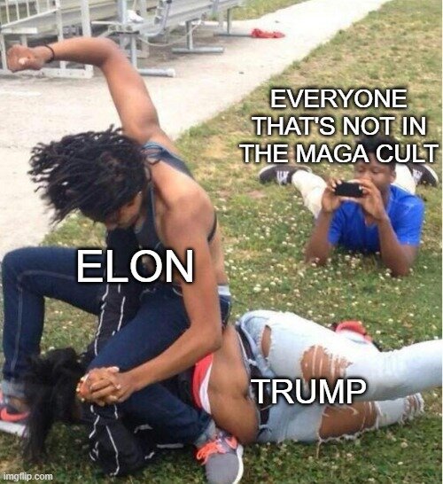 9wddq1.jpg