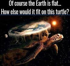 image.jpeg