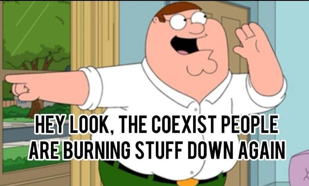 image.jpeg