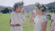 midsommar-skol.gif