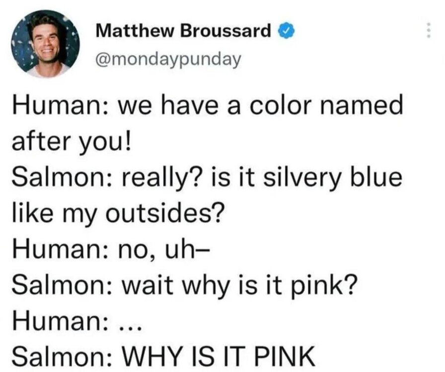 FB_IMG_1751760075504.jpg