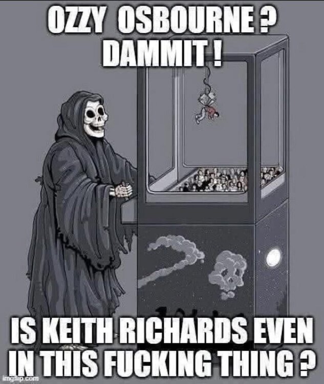 image.jpeg