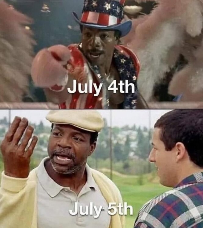 image.jpeg