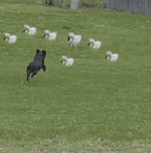 17558760643032077859111262373686.gif