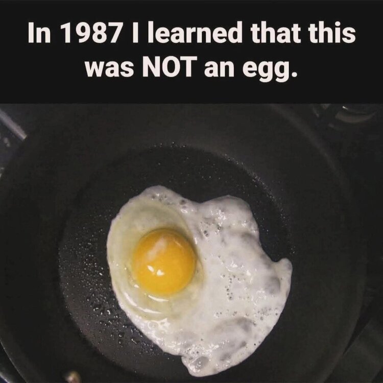 FB_IMG_1755299373972.jpg