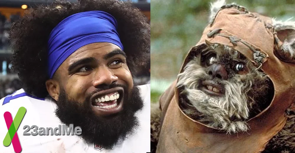 Ewok.webp