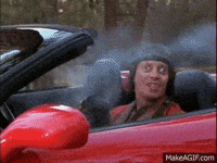 image.gif