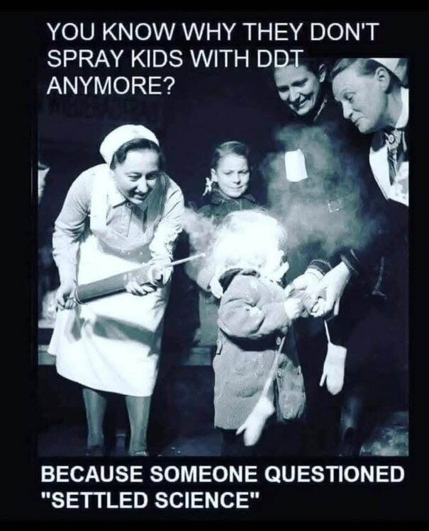 FB_IMG_1759437238247.jpg