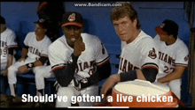 image.gif