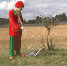 image.gif