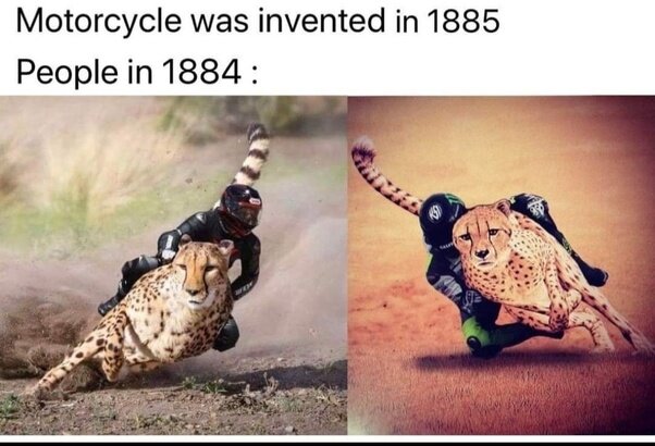 image.jpeg