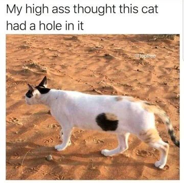 image.jpeg